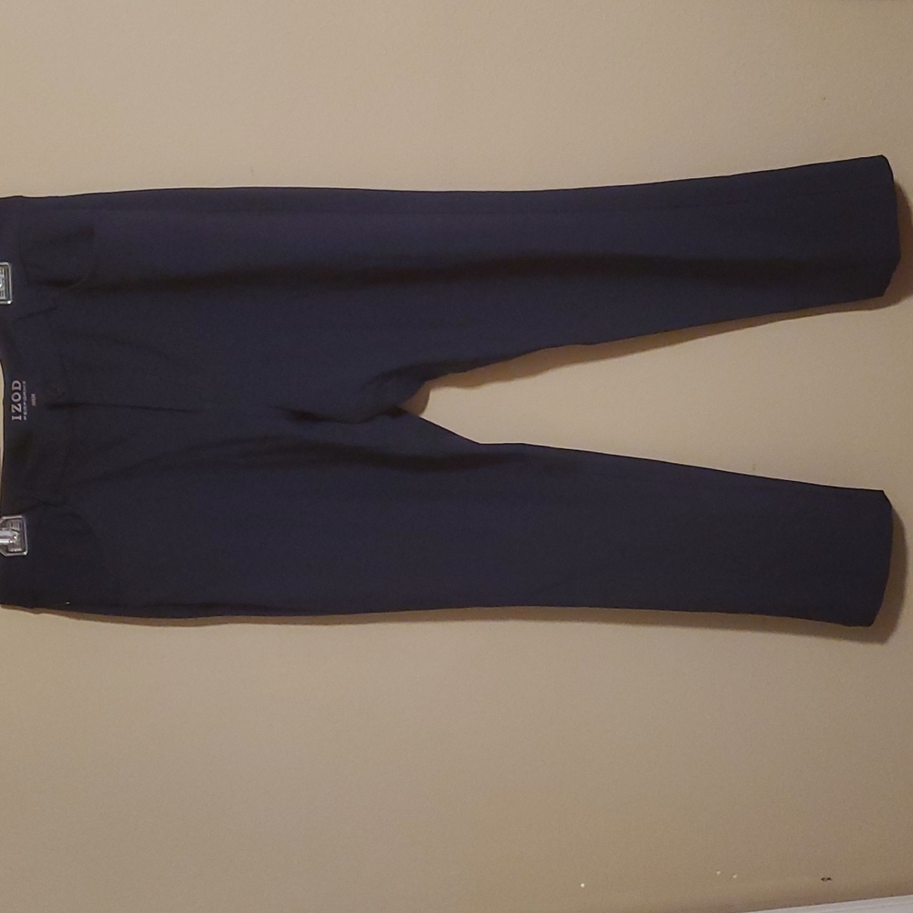 Dress pants